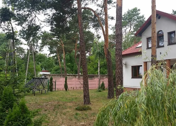 홈스테이 Sosnowy Dworek